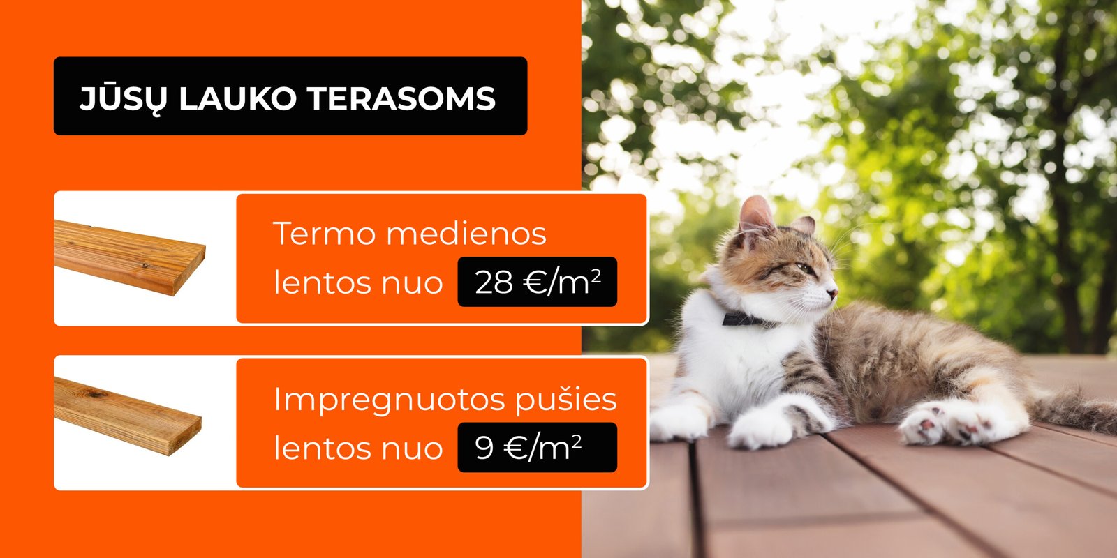 2026_03_10_web_terasos_5